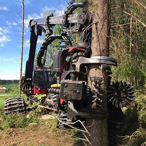 2.9M views · 7K reactions | Modern Long Range Excavator Of The World Working, Heavy Equipment Cutting Large Tree Machine Cr: Delicate Machines | Top Grind - TG | Facebook