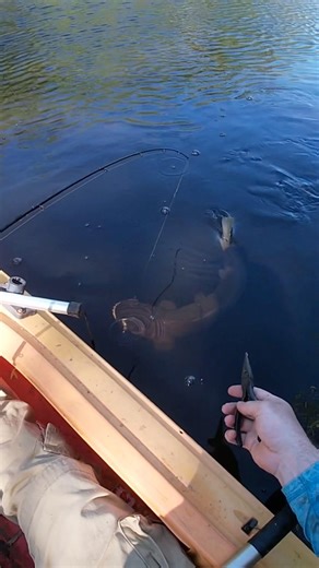 Spring time fishing 🎣 #fishing #kayakfishing