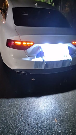 LED Dynamic Taillights for Audi A5 S5 8T Rear Lights