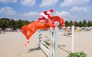 视频PS神器！人物隐身消失！视频修复新工作！代码开源！ICCV 2021