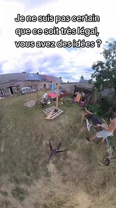 147K views · 810 reactions | Je prends les prunes de mon voisin, c'est légal ? #jardin #potager #voisin #avis #astuce #lifestyle | Vivien Roulin | Facebook