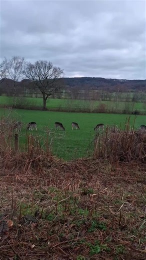 c_arl Gen ❌️ 73 (@c_arl1973)’s videos with I'm From the Country - Tracy Byrd