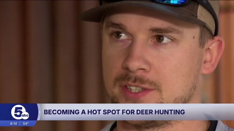 Could Ashtabula Co. become the most popular county for deer hunting this year?