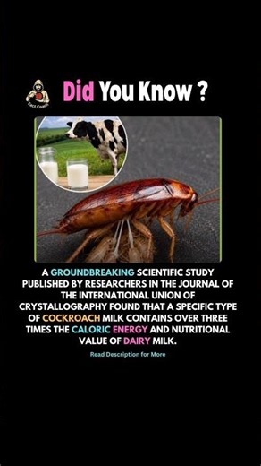 Would You Drink Cockroach Milk for 3X More Energy? 🪳😱 #cockroach #facts #shorts