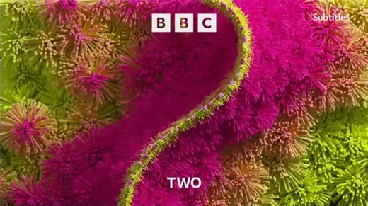 BBC Two - Celebratory