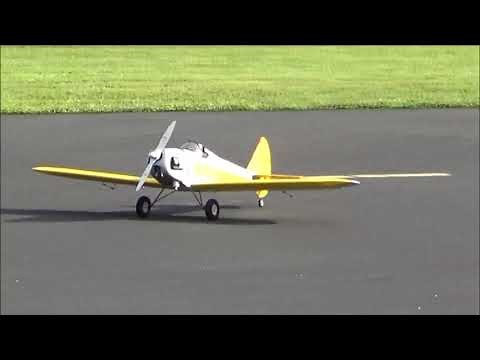 Dynaflite 1/4 scale Flybaby