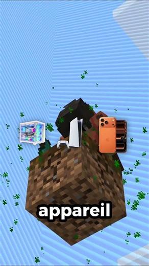 Le meilleur serveur OneBlock pour jouer entre amis !