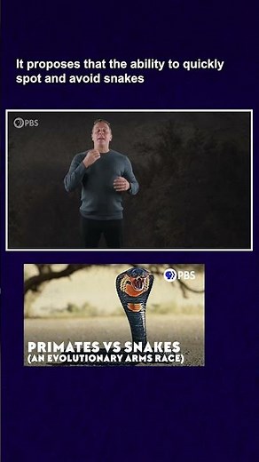 Snake Detection Hypothesis