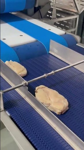 Automatic Meat Slicing Machine: Chicken Breast Processing