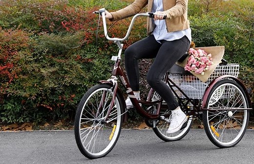 10 Best Tricycles for Adults Reviewed (Winter 2025)