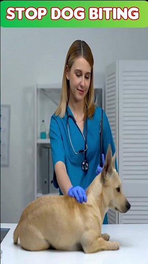 How to Stop your DOG from BITING People?