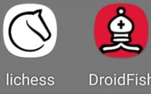 国际象棋 Droidfish(置换表最高分析模式)执黑 vs lichess（分析模式）执白 白胜，总共378手。