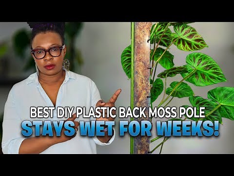 The Moss Pole That Stays WET! (DIY Plastic Back Method for Big Leaves)