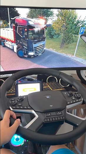 Euro Truck Simulator Realistic Driving with HORI Force Feedback Wheel #eurotruck #ets2