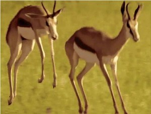 #gif gif #gifs4u | Gifs for you