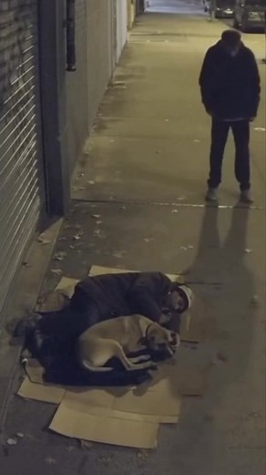 Street angel | All Hope