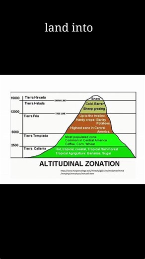 Students of Geography on Reels
