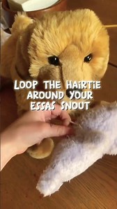 ˚•˙∘How to make it look like your ESSA is holding their toy 💗∘˙•˚ #dog #funny #essa #fypシ゚viral