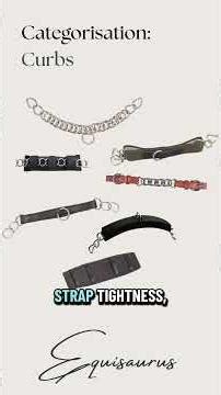 Horse bit categorisation - part 3 - curb bits 🐴 #horses #horseriding #horsebits #bitmechanics