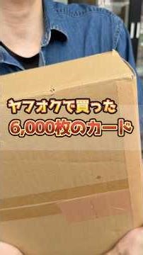 【格安】ヤフオクで買った6000枚のポケカがピカチュウまみれだったので爆アドでした