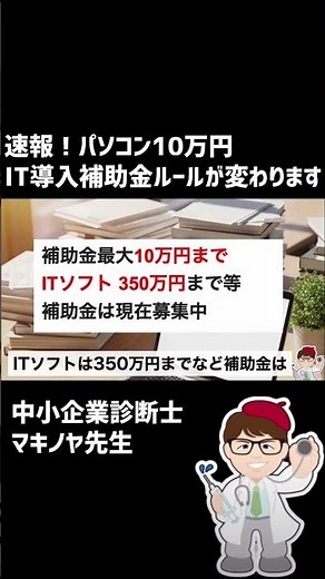 IT introduction subsidy