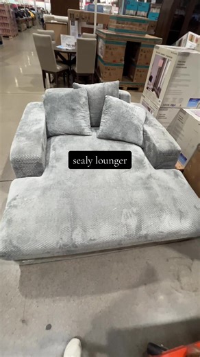 Best Chair for Relaxation: Sealy Lounger Review