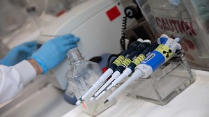 Academic clinical fellowships