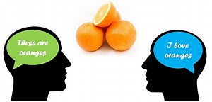 Différence entre objectif et subjectif (avec tableau comparatif) - Blog 2025