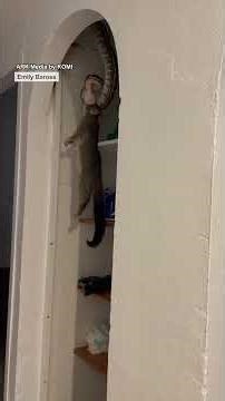 She woke up to THIS 😳