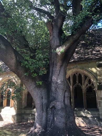 Nostalgic Harry Potter Moments: Return to 2020