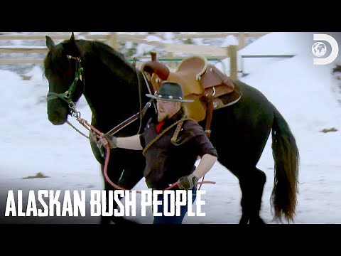 Noah Trains His New Warhorse | Alaskan Bush People