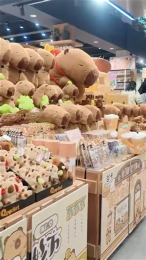 Bukit Bintang Q Pocket Store 武吉免登 Q Pocket 商店 : Malaysia Scenery 马来西亚风光 - Tour 旅游 Travel 旅行