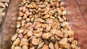 Mussels clams in the freezer, shellfish delicacy meat for food frozen, lie in freezer refrigerator supermarket .concept seafood diet