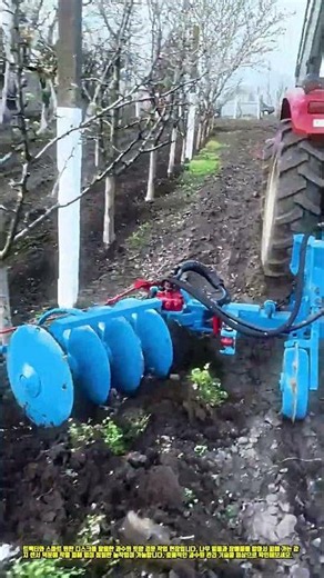 과수원 트랙터 원판 디스크 경운 작업 #worker #process #tractor #agriculture #orchard
