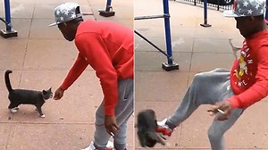 Se divertía golpeando gatos y fue preso gracias a un video