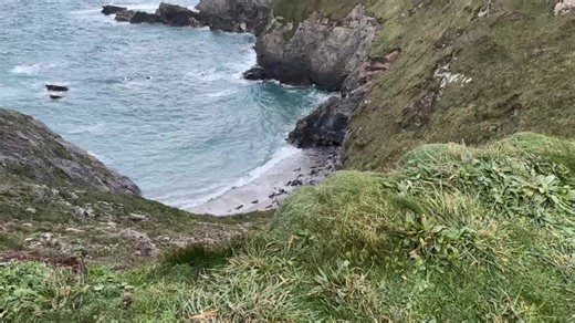 Cornwall Live on Reels