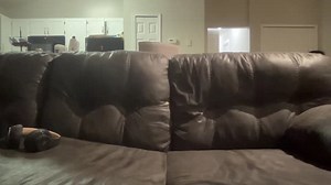 alphazack14 23-07-2023 video Video
