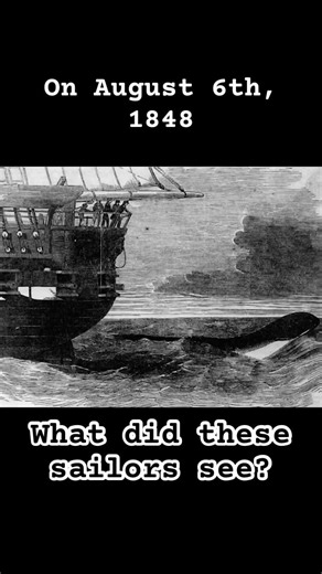 HMS Daedalus Sea Serpent Sighting #horror #scary #cryptids #cryptozoology