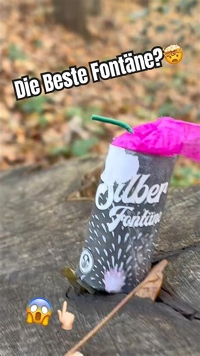 Silber Fontäne #funkefireworks #fireworks #pyrotechnica #shortvideo #pyro #vuurwerk