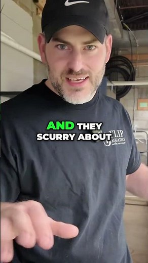 Aquarium Garbage Disposals! (MUST-KNOW) Scuds