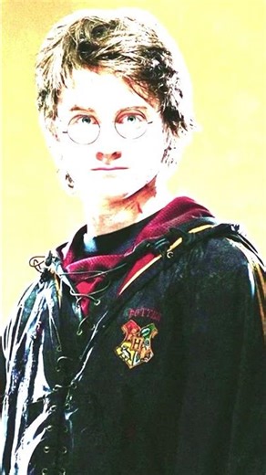 Harry Potter Movie Wellerman