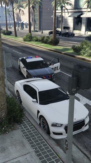 I got pulled over by the same cop twice