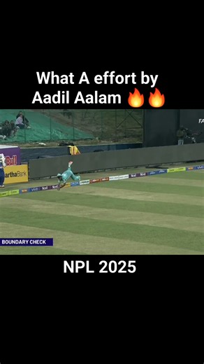 what a effort by Aadil Aalam , NPL 2025 live match today #NPLSeason2 #NPLLive #NPL2025 #NepalCricketAssociation #nepalcricketlive #NepalCricketTeam #NepalPremierLeague #CricketFans | YoNo TV Live