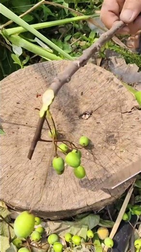 Bead tree cutting process