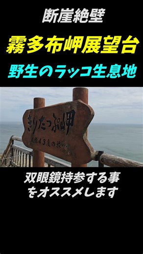 【断崖絶壁】霧多布岬展望台＃shorts