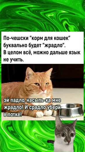 #мем #шуточное #юмор #ржака #прикол #funny