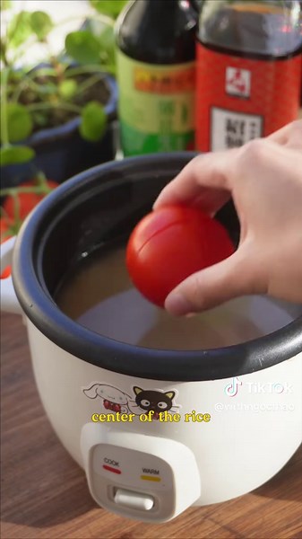 🍅🍳 EP 1. Tomato Eggs was one of my first rice cooker videos ever, so I thought it’d make sense for it to be the first episode of Cookin’ in Rice Cooker: Remastered edition! 🍅🍳 As usual the water to rice ratio may differ depending on the kind of rice you use. Cooking times may also differ depending on your rice cooker model. My rice cooker is a 2 cups uncooked / 4 cups cooked size. Ingredients 3/4 cup jasmine rice 1 cup water (I actually used slightly less than 1 cup) 1 tbsp soy sauce 1 tbsp 