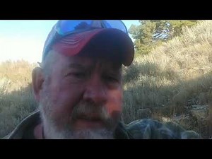 Bobcat trapping, the real secret ;)