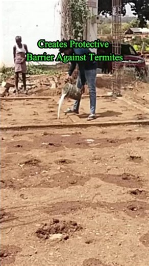 Anti-Termite Process for new construction| it's protected from #TOXIC termite attack. #howto #ideas