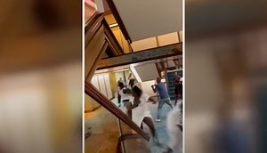 Video Shows Huge Fight Break Out on Cruise Ship Injuring Multiple People